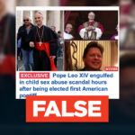 Pope Leo XIV NOT 'engulfed' in child sex abuse hours after election